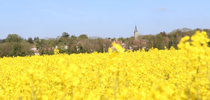 Dans une étude publiée le 16 janvier 2024, Générations Futures sonne une nouvelle charge contre les - © D.R.