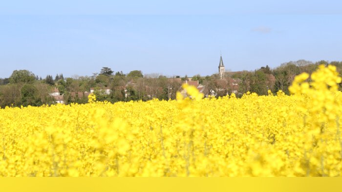 Dans une étude publiée le 16 janvier 2024, Générations Futures sonne une nouvelle charge contre les - © D.R.