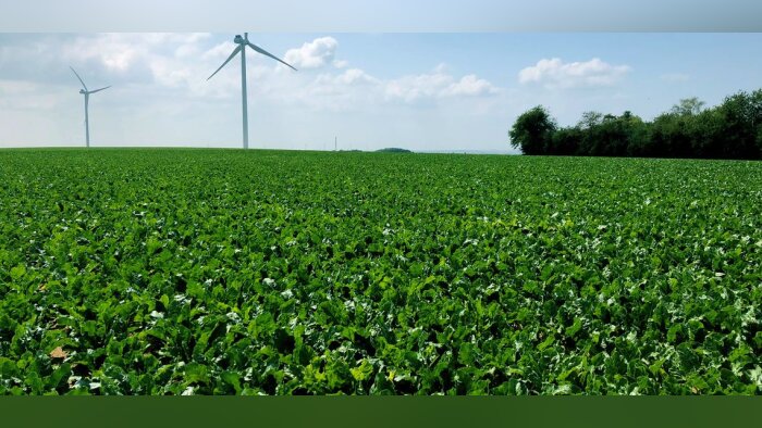 Herbicides betteraves non conformes, les négociations avec Adama se poursuivent