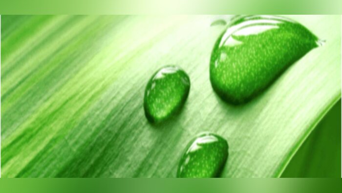 La fertilisation foliaire optimisée avec l’additif agronomique FERTI AMI