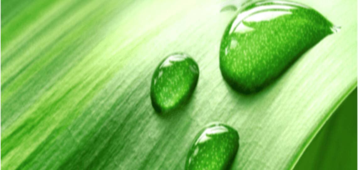 La fertilisation foliaire optimisée avec l’additif agronomique FERTI AMI - © D.R.