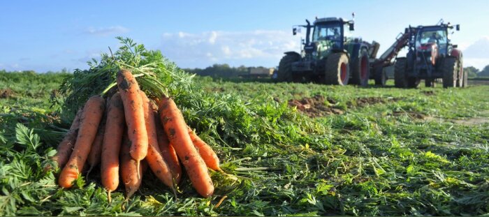 Crédit photo : Demain la Terre - © D.R.