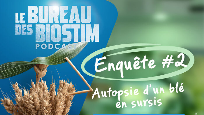 Episode 2 : Autopsie d’un blé en sursis