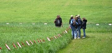 Loire Auvergne Agro adapte les fourragères aux aléas climatiques - © D.R.