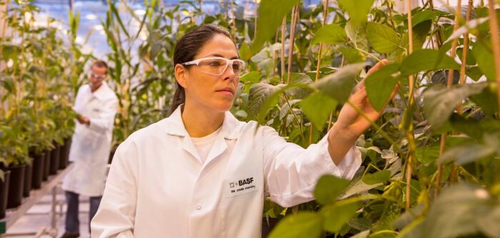 BASF innove avec des solutions intégrées pour accélérer la transformation de l’agriculture