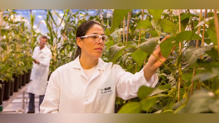 BASF innove avec des solutions intégrées pour accélérer la transformation de l’agriculture
