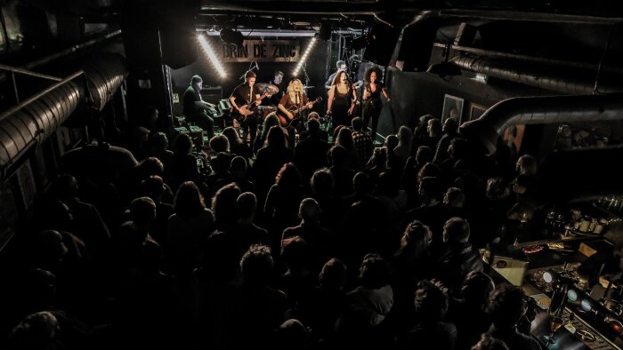 Samantha Martin & Delta Sugar en concert au Brin de Zinc. - © Reynald Reyland