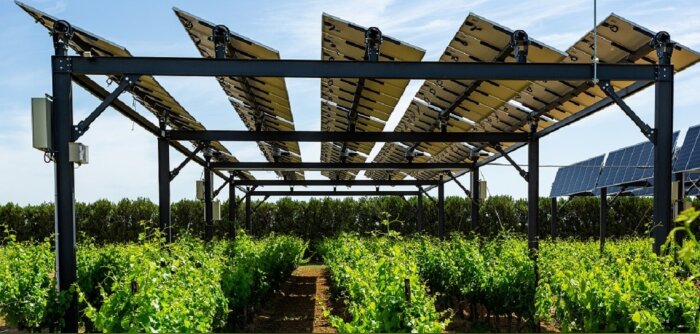 L’agrivoltaïsme reconnu comme solution d’adaptation au changement climatique