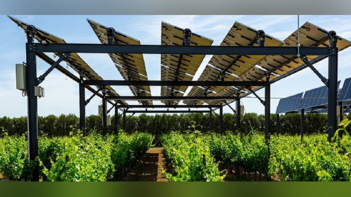 L’agrivoltaïsme reconnu comme solution d’adaptation au changement climatique