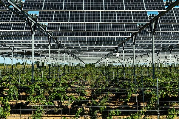 © Sun’Agri - © D.R.