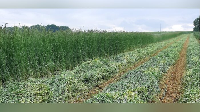 Dijon Céréales ouvre son unité de méthanisation à 155 exploitations