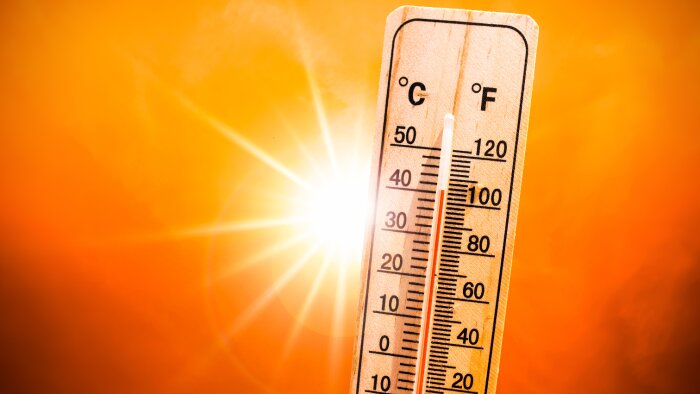 CSSCT : les points à retenir du plan canicule (Gouvernement) - © D.R.