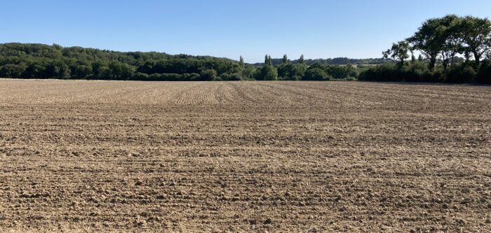 Glyphosate, l’Echa maintient la classification actuelle