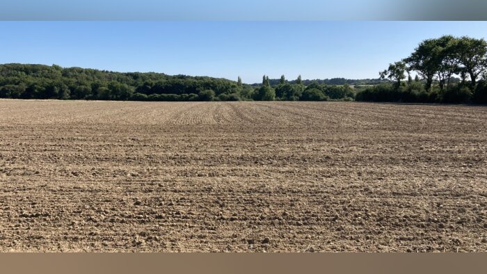 Glyphosate, l’Echa maintient la classification actuelle