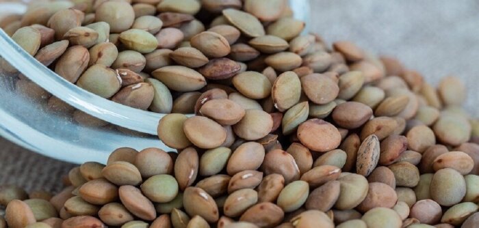 Terres Inovia a présenté, le 1er février 2024, les résultats de W-SoLent, son programme d’accompagne - © D.R.