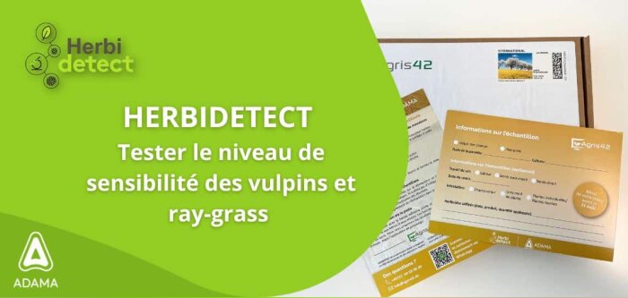 Tester le niveau de sensibilité des vulpins et ray-grass grâce à Herbidetect