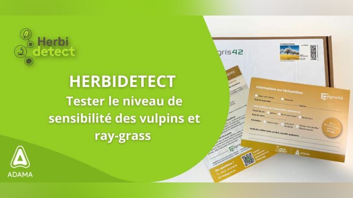 Tester le niveau de sensibilité des vulpins et ray-grass grâce à Herbidetect