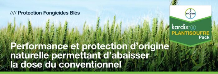 Lancement du pack Kardix-plantisoufre : gain d’IFT et performance maintenue contre la septoriose du blé