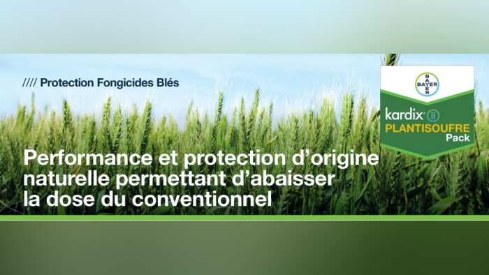 Lancement du pack Kardix-plantisoufre : gain d’IFT et performance maintenue contre la septoriose du blé