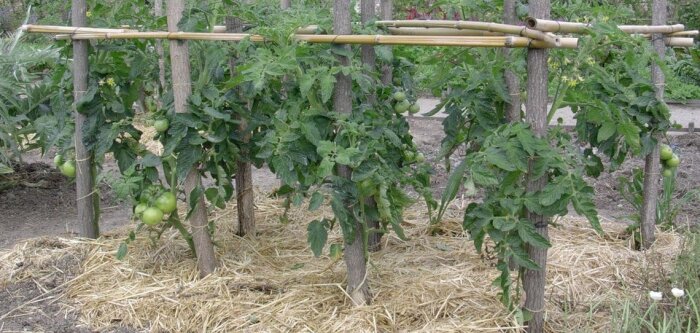 Pesticides amateurs, les conditions d’autorisation se durcissent