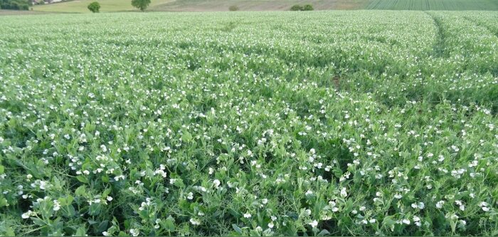 La fondation Avril lance un appel à projets « Territoires à agricultures positives »