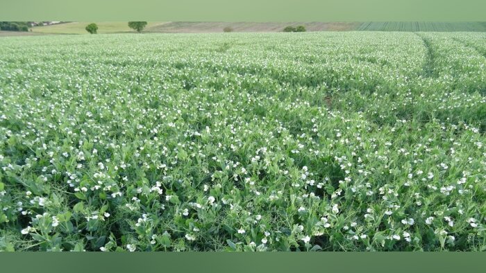 La fondation Avril lance un appel à projets « Territoires à agricultures positives »