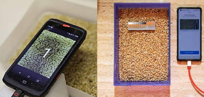 Vivescia analyse la qualité des grains grâce aux smartphones