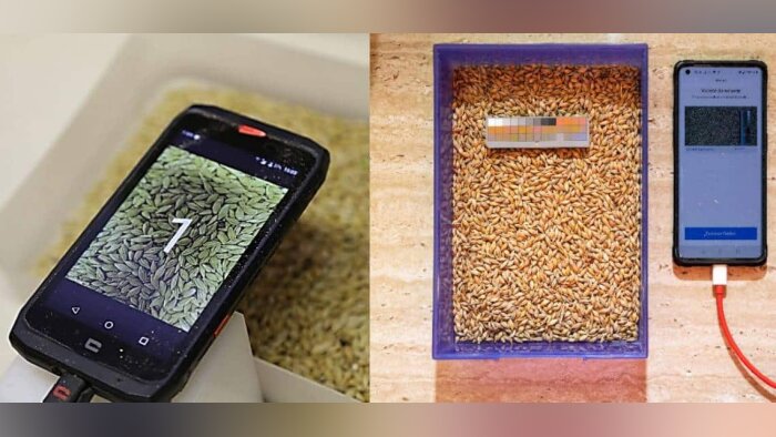 Vivescia analyse la qualité des grains grâce aux smartphones