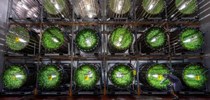 Technologie, transition agricole et alimentaire : Futura Gaïa lève 11 M€