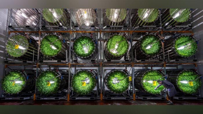 Technologie, transition agricole et alimentaire : Futura Gaïa lève 11 M€