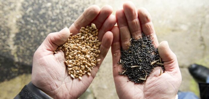 Lancement du second volet du Plan semences et plants pour une agriculture durable