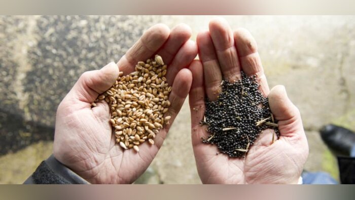 Lancement du second volet du Plan semences et plants pour une agriculture durable