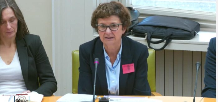 Sylvie Lemmet, ambassadrice déléguée à l’environnement lors de son audition, le 9 novembre 2022, dev - © D.R.