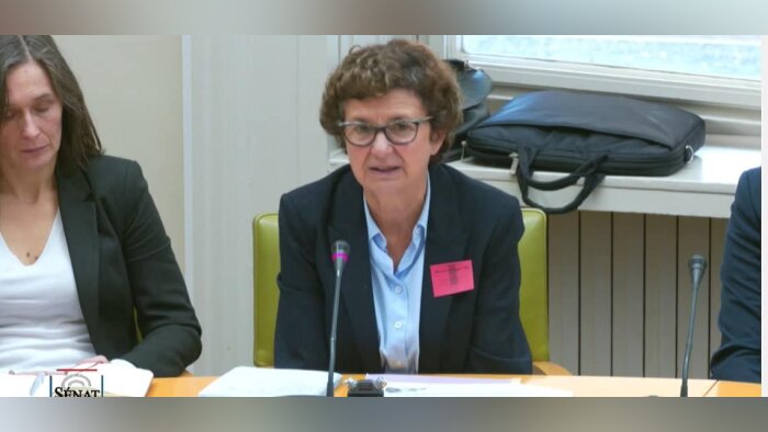 Sylvie Lemmet, ambassadrice déléguée à l’environnement lors de son audition, le 9 novembre 2022, dev - © D.R.