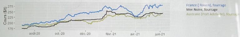 Les marchés céréaliers, entre sécheresses américaines et froid européen - © D.R.