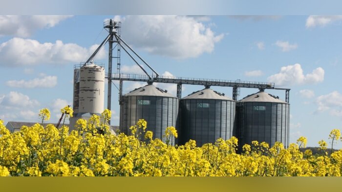 Adopter les bonnes règles de stockage du grain
