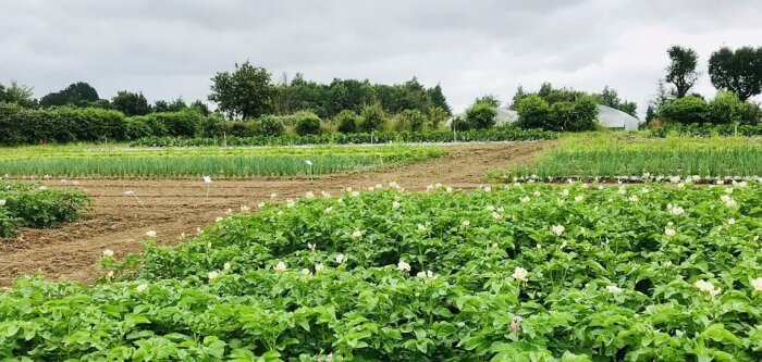 Ecophyto 2030 : la DRAAF Hauts-de-France lance un appel à projets pour réduire les phytos