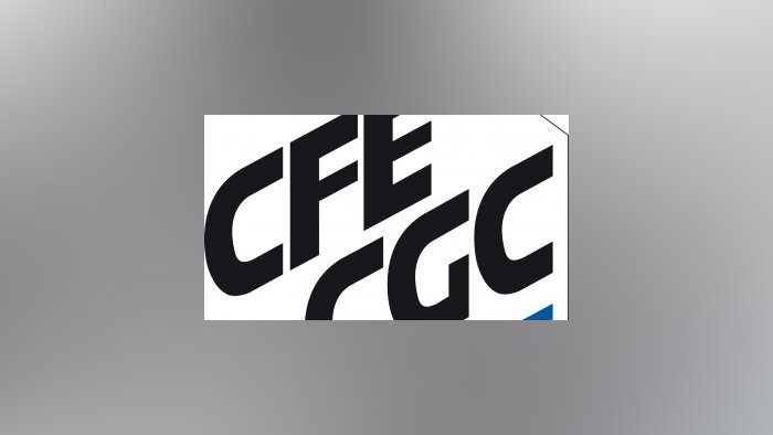 CFE-CGC : parution du guide « Elus du CSE, tout savoir sur les moyens »
