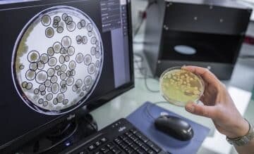 Agronutrition mise sur les activateurs de sol - © D.R.